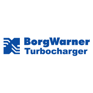 Borg T