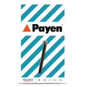 PAYEN